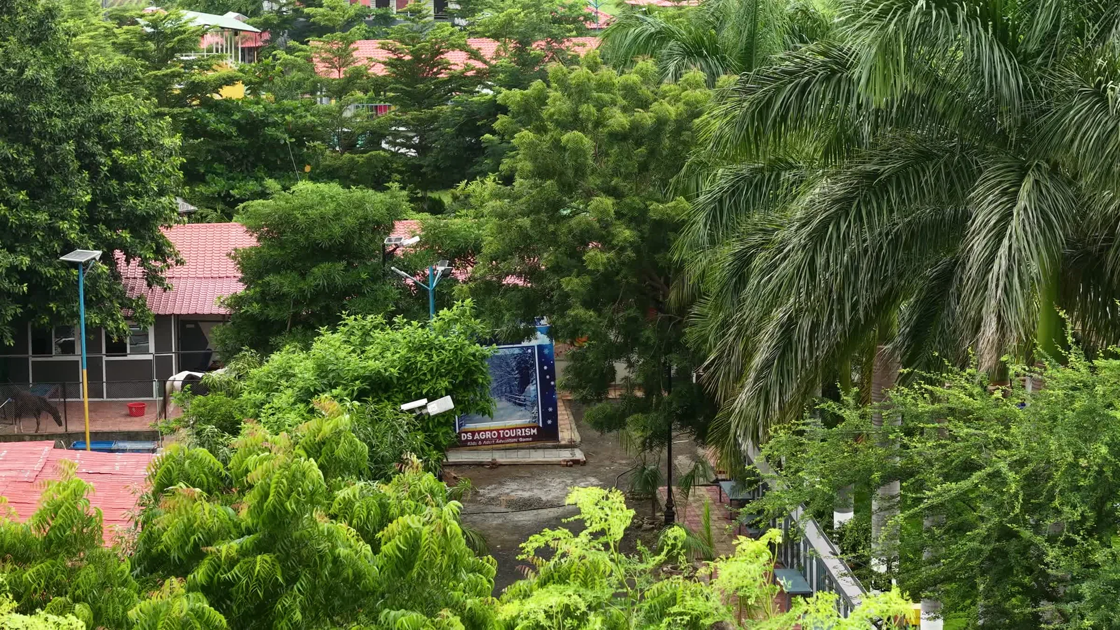 03 · Arrive & unwind. Garden paths and palms around the resort. Ask the team for arrival guidance.