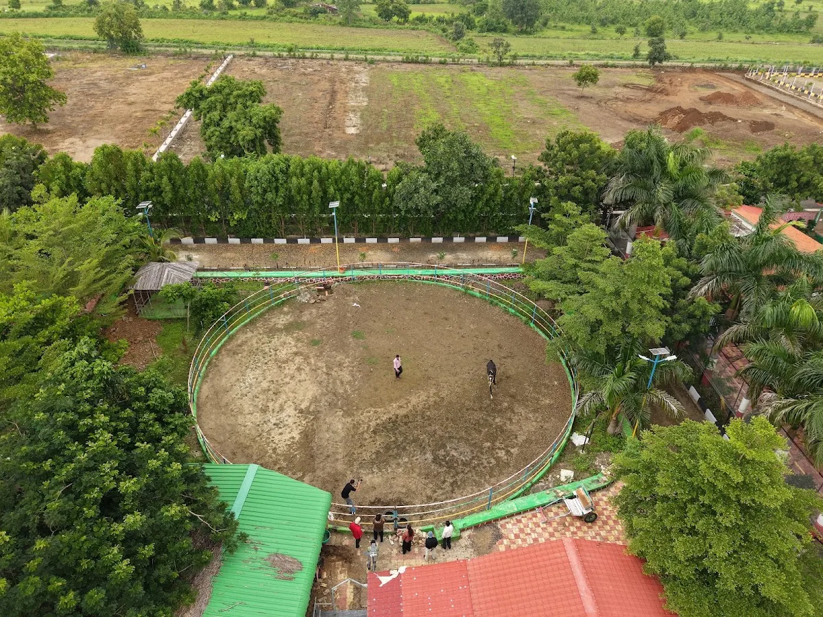 Activities at DS Agro Tourism & Resort