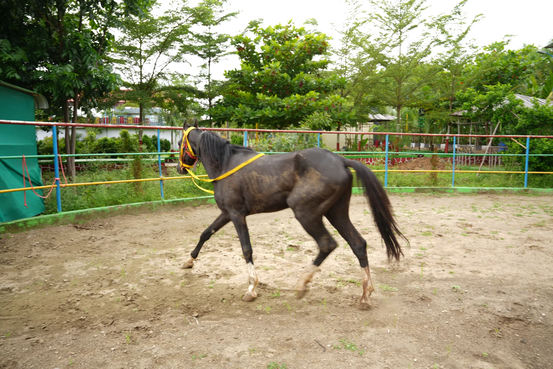 Horse riding at DS Agro Tourism & Resort. A real riding moment at the resort.