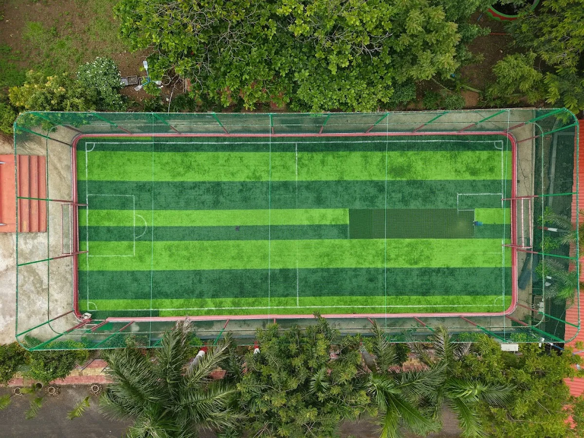 The sports turf from above